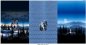 Preview: Stoff Panel 3er Wolf Wölfe blau